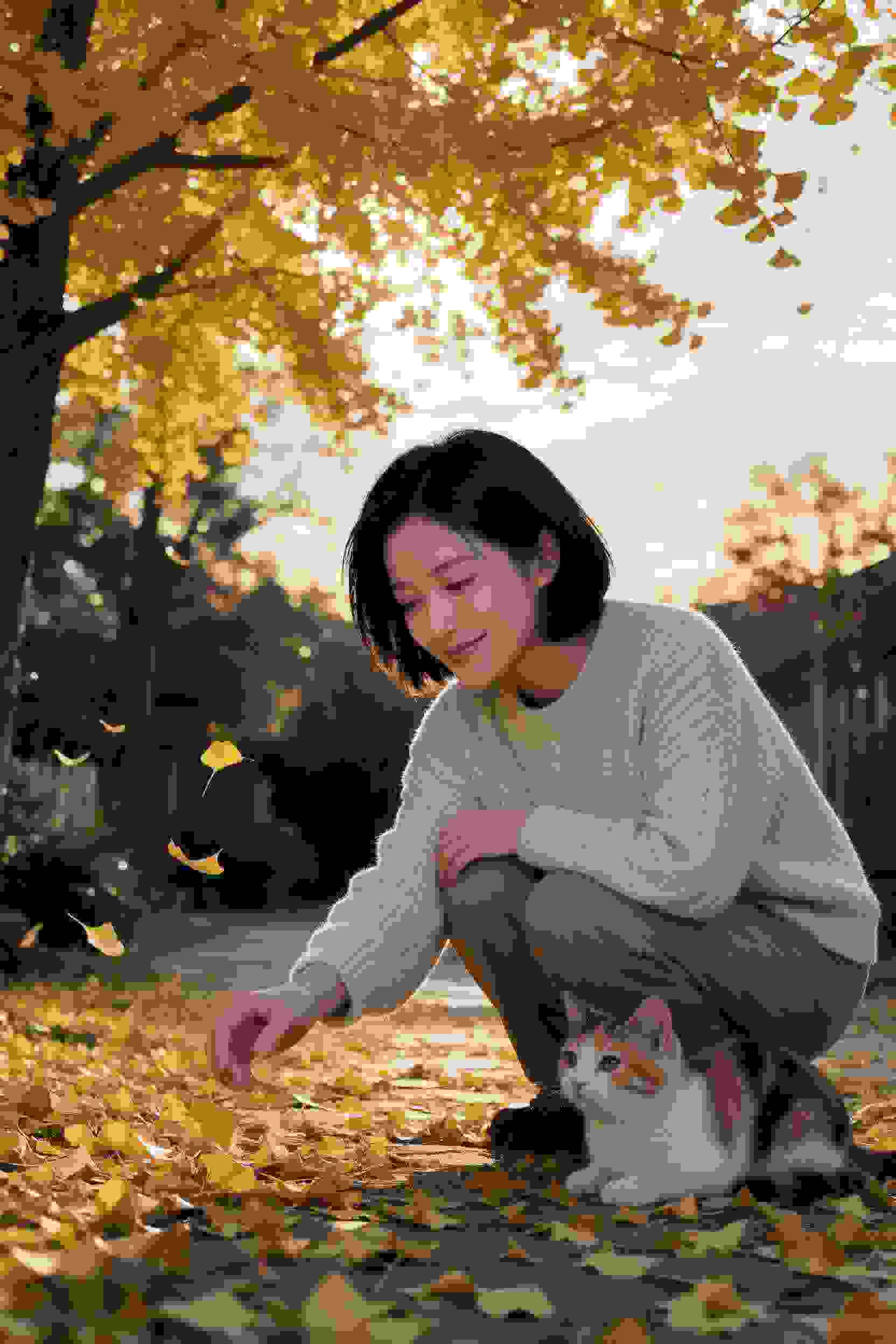 代码之心